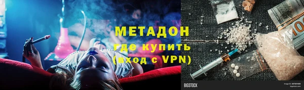 шишки Няндома