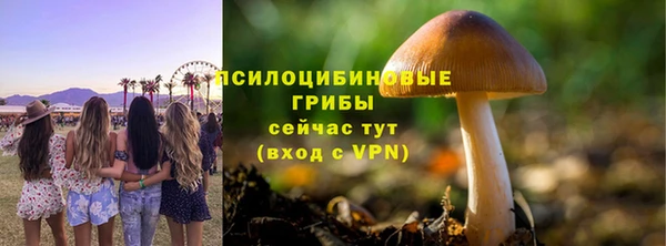 таблы Новозыбков
