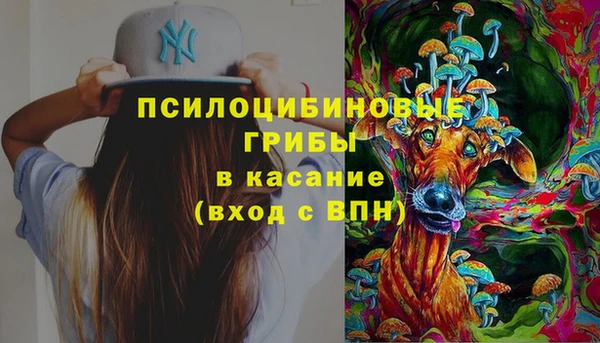 шишки Няндома