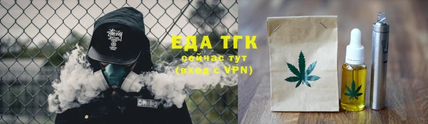 шишки Няндома