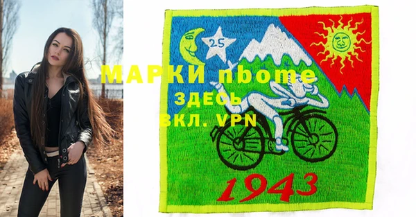 шишки Няндома
