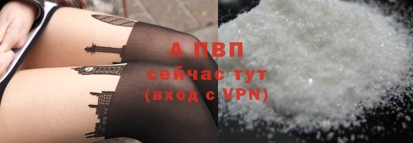 таблы Новозыбков