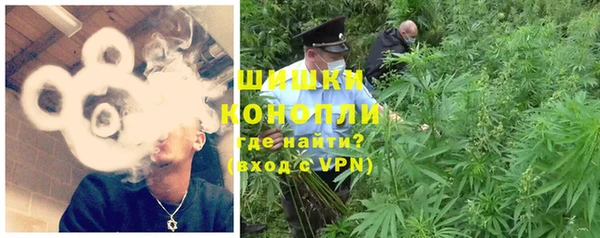 ПСИЛОЦИБИНОВЫЕ ГРИБЫ Нязепетровск