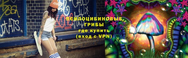 ПСИЛОЦИБИНОВЫЕ ГРИБЫ Нязепетровск