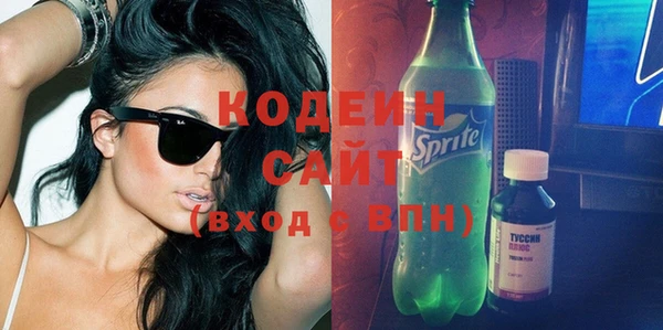 шишки Няндома