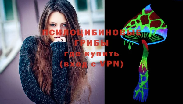 таблы Новозыбков