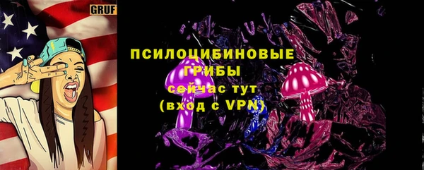 таблы Новозыбков