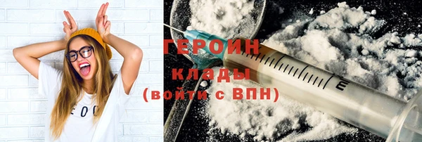 шишки Няндома
