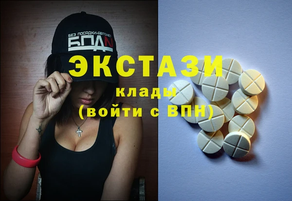 шишки Няндома