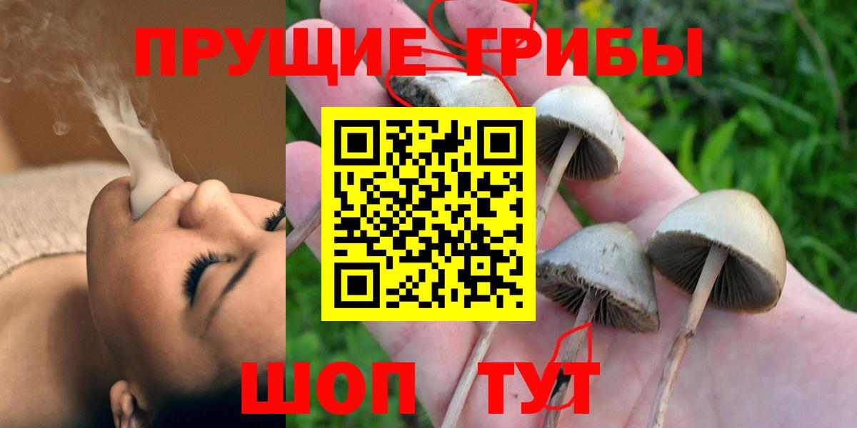 Галлюциногенные грибы MAGIC MUSHROOMS  Краснокамск  наркота  Галлюциногенные грибы мицелий 